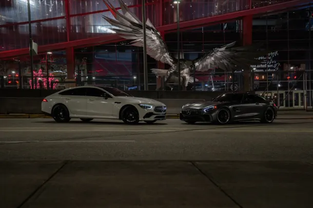 Wild Ccasino Kasino Android/iOS App